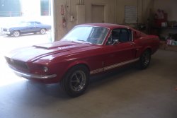 130702 Mustang Shelby (13).JPG